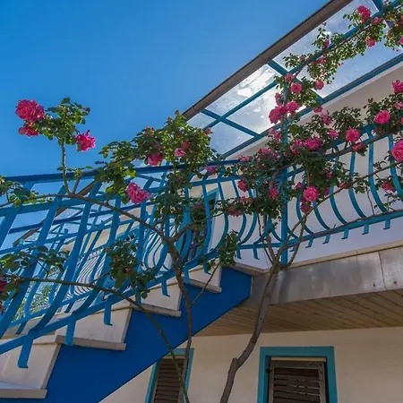 Guest house Kiki Spada 3*