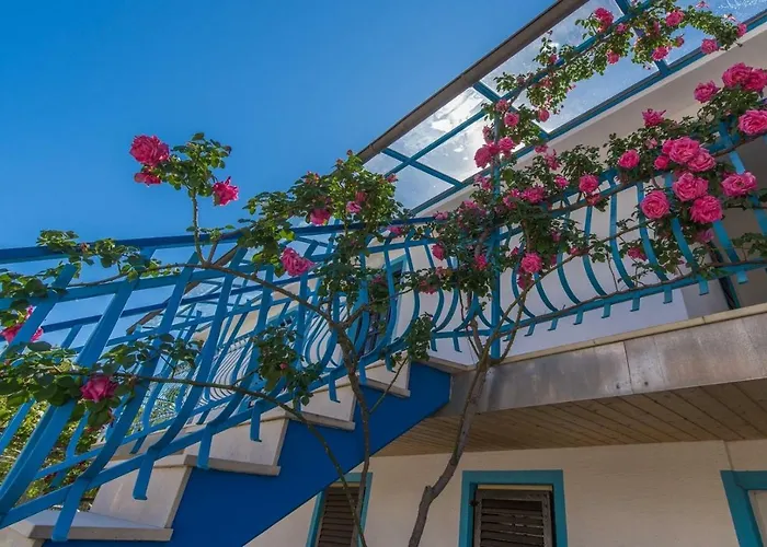 게스트하우스 Kiki Spada 3*